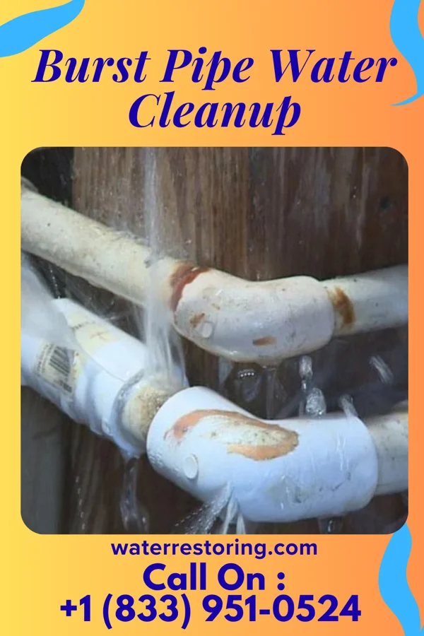 Burst Pipe Water Cleanup in Caro, MI