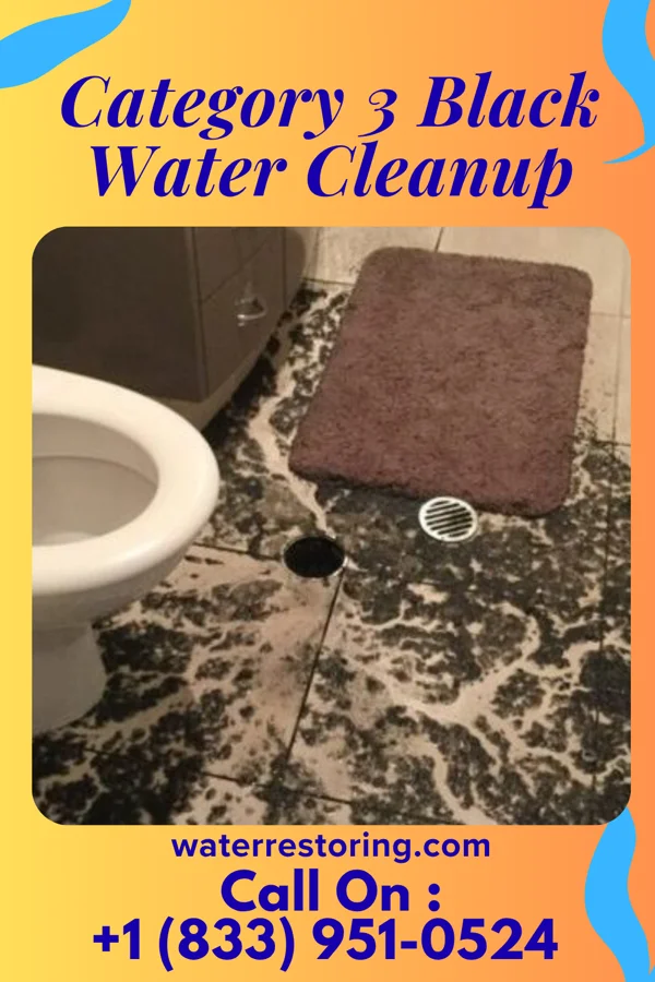 Category 3 Black Water Cleanup in Caro, MI