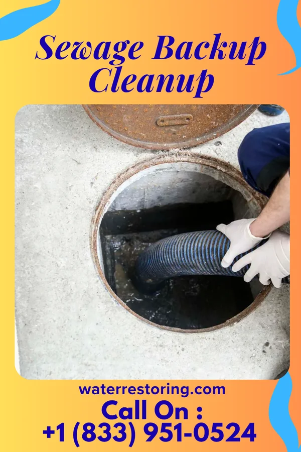 Sewage Backup Cleanup in Caro, MI