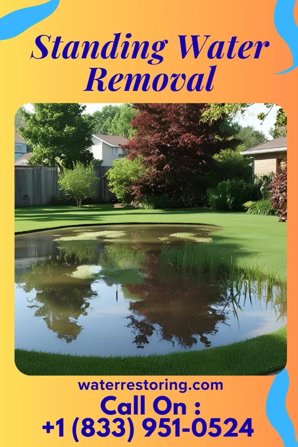 Standing Water Removal in Caro, MI